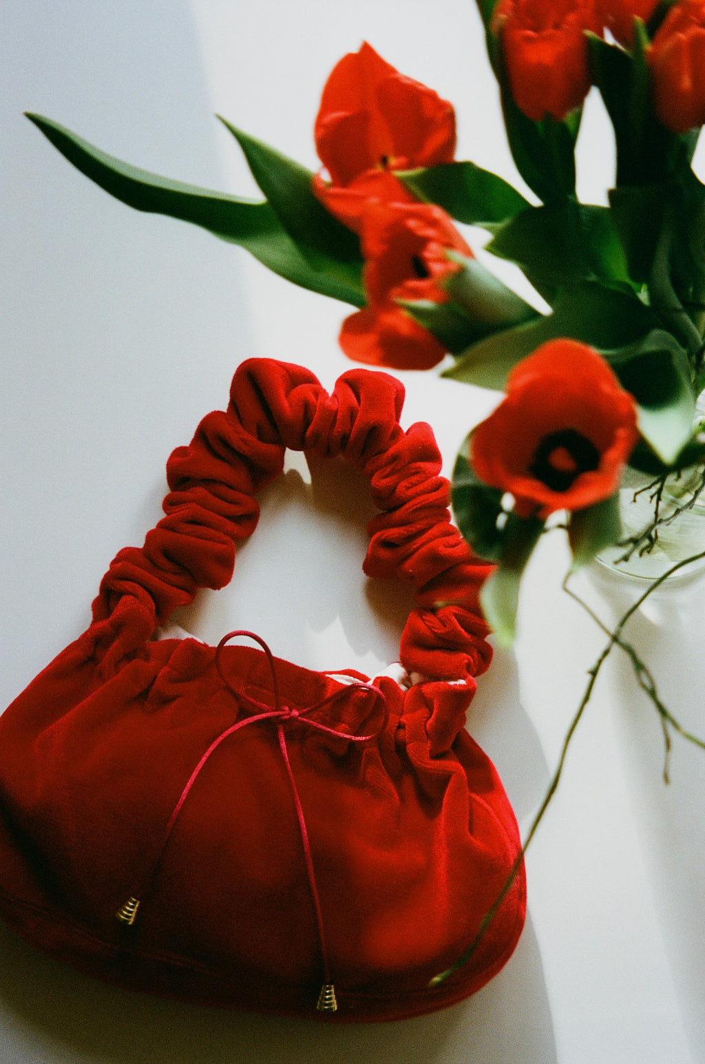 Mini Red Velvet Bag